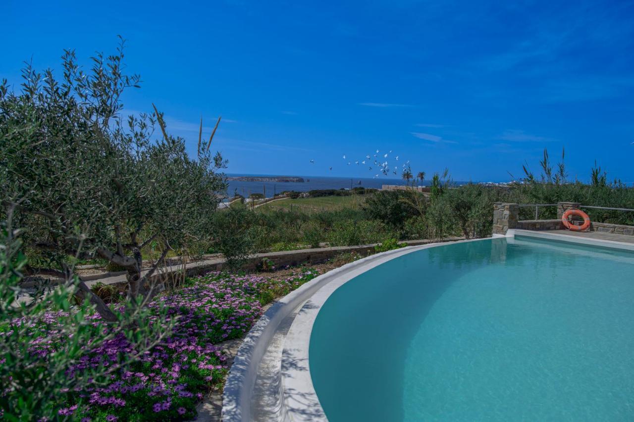 Anthemion Paros - Villas & Suites Agia Irini  Ngoại thất bức ảnh