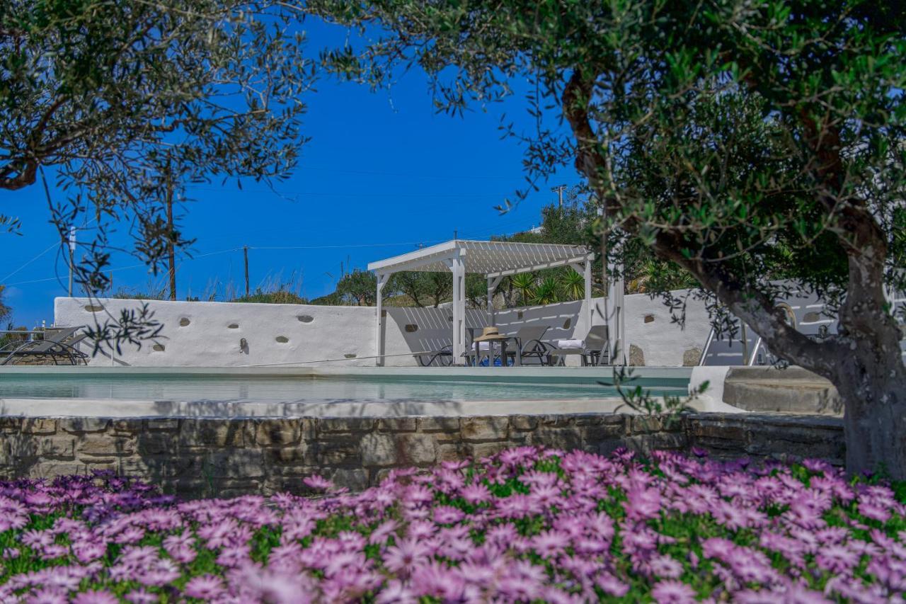 Anthemion Paros - Villas & Suites Agia Irini  Ngoại thất bức ảnh